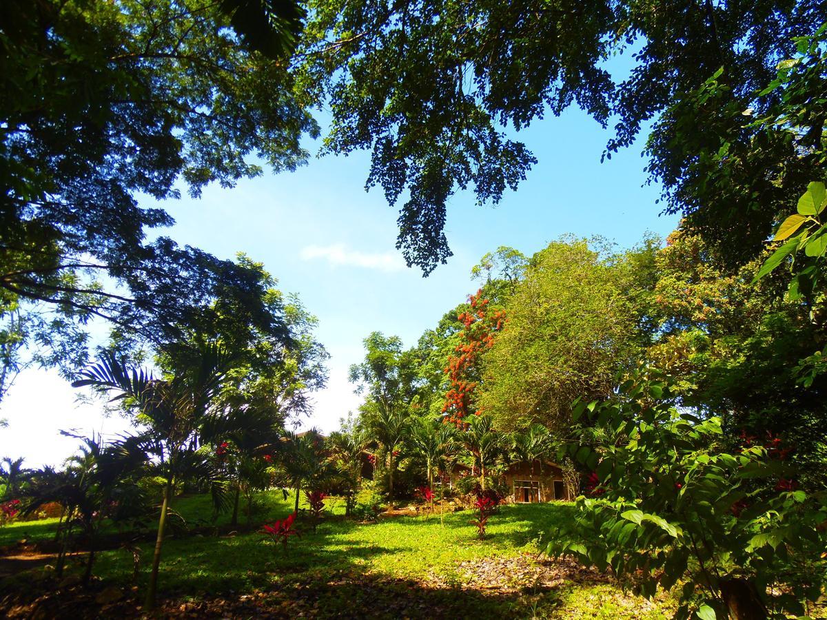Hotel Valle Azul San Gerardo Номер фото