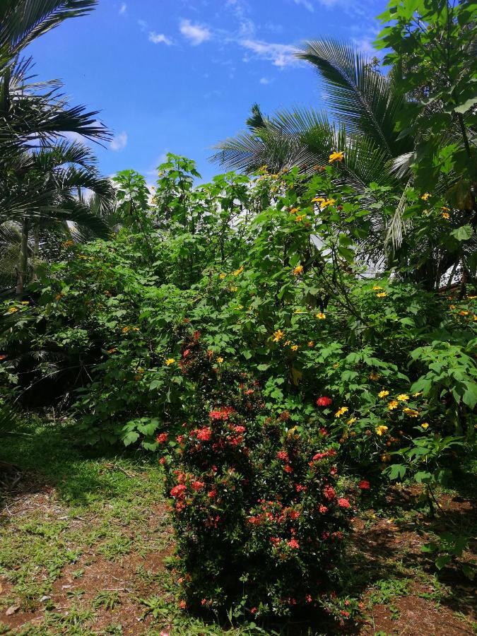 Hotel Valle Azul San Gerardo Экстерьер фото